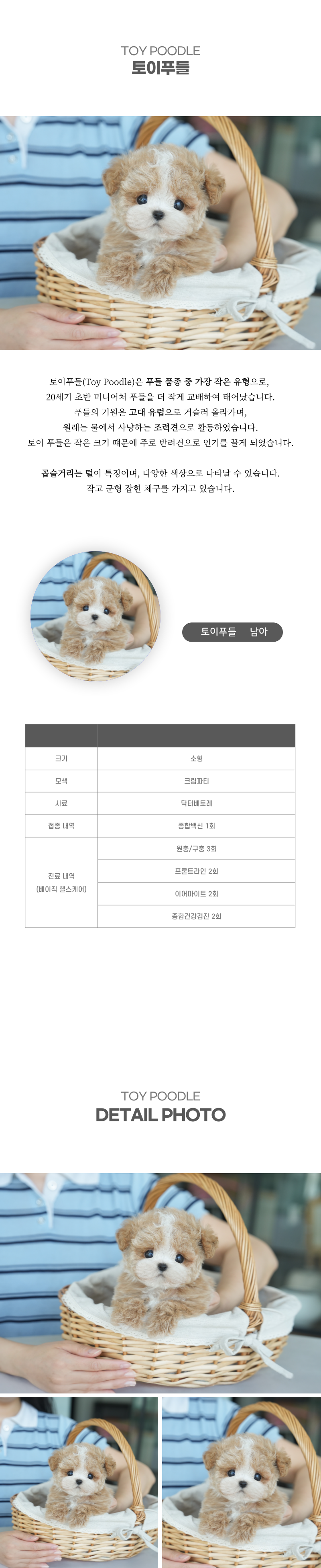 토이푸들_상세이미지_2